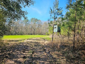 Phillips Rd, Ariton, AL 36311