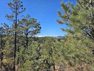 0 Hicks Canyon Unit 24-1123, Weston, CO 81091