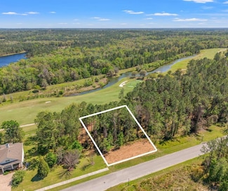 20044 English Walnut Place, Brooksville, FL 34601