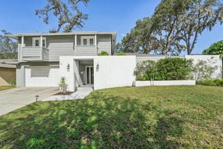 6104 Grape Fern Ct, Temple Terrace, FL 33617