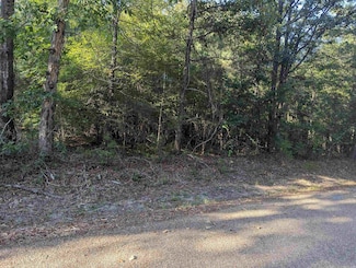 112 Ouachita 515 Rd, Louann, AR 71751