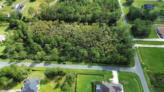 0 Bassett Ave Unit MFRO6350450, Orlando, FL 32833