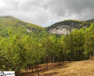 293 Foggy Cut Ln, Landrum, SC 29356