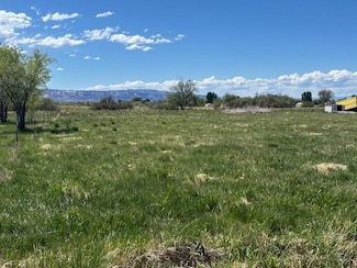 233 31 3 10 Rd, Grand Junction, CO 81503