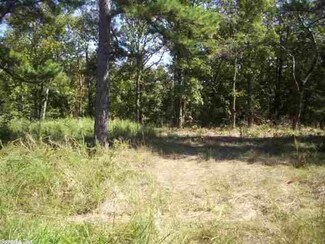 Lot 19 Island Shores Dr, Drasco, AR 72530