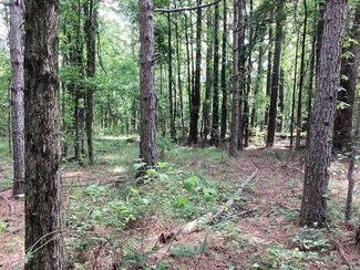 TBD Tollett Rd, New Hope, AR 71959