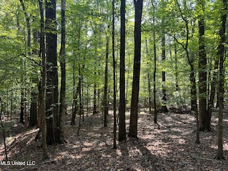 0001 Old Dover Rd, Yazoo City, MS 39194