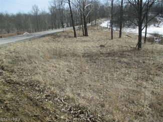 3072 Rough And Ready Rd, New Concord, OH 43762