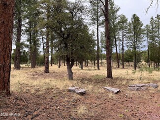 TBD Arizona 87, Pine, AZ 85544