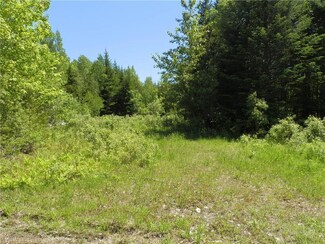 0 Independence Cir Unit 1294239, Prentiss Township T7 R3 Nbpp, ME 04487