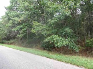 12 Acres Trout Creek Rd, Amherst Junction, WI 54407