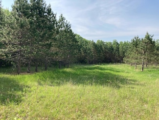 LOT 5 Fawn Lake Rd, Breezy Point, MN 56442