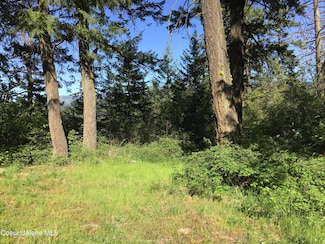 0 Rufus Trail Lts 4 5 6 7, St. Maries, ID 83861