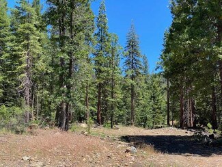 2526 Running Springs Ln, Spring Garden, CA 95971