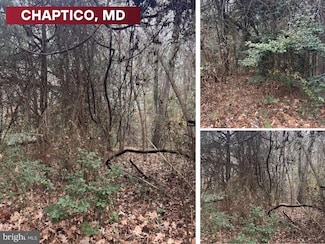 0 Mill Point Rd, 4, Chaptico, MD 20621
