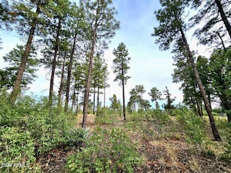 1219 Turkey Hill Rd, Pinedale, AZ 85934