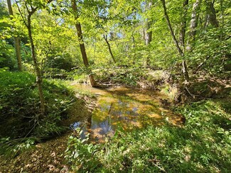 0 Perkins Mill Rd, Sprouses Corner, VA 23936