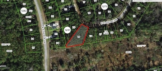 598 E Elgrove Dr, Citrus Springs, FL 34434