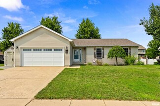 503 Park Trail Rd, MacKinaw, IL 61755