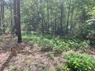 0 Lincoln Rd, Gray Court, SC 29645