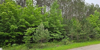 5076 W Golf Haven Dr, Kalkaska, MI 49646