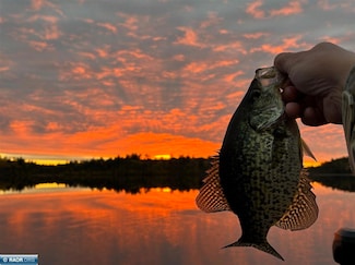 TBD Wilderness Way, Cook, MN 55723