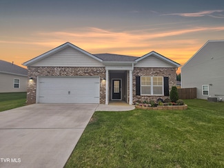 1496 Raccoon Ln, Piney Flats, TN 37686