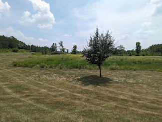 Lot 8 Geneva Golf Club Dr NE, Alexandria, MN 56308