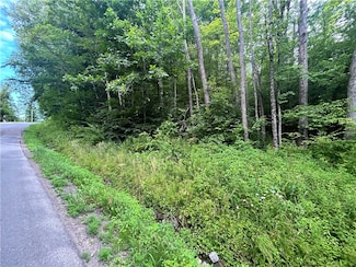 0 County Highway 3a Unit R1649802, Unadilla, NY 13849