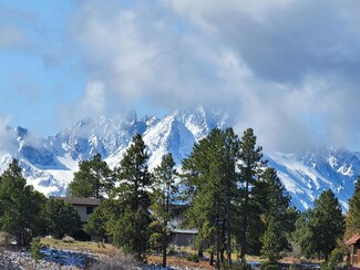 LOT 253 Antler Place, Ridgway, CO 81432