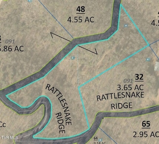 Tbd Rattlesnake Ridge Lot 19 & 31, Butler, TN 37640