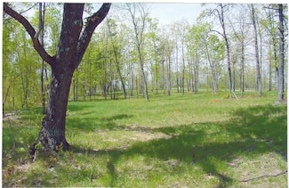 22 S Greenfields Way, Dunlap, TN 37327