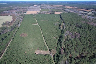 57.40 Acres-TBD Cade Rd, Cades, SC 29518