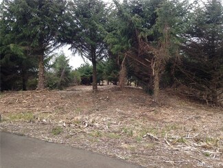 156 Seawind Ln SW, Ocean Shores, WA 98569
