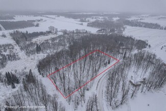 0 Silver Birch Cir, Elderon, WI 54427