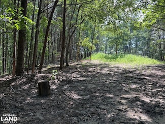 0 Daniel Creek Rd, Kellerman, AL 35468