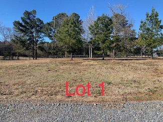 0 Chasin Fin Dr Unit 1 11419405, Many, LA 71449