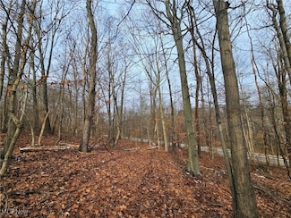 56461 State Route 541, Kimbolton, OH 43749