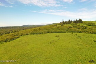 E3 Alaskan Wildwood Ranch(r), Nikolaevsk, AK 99556