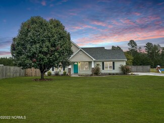 106 Michelle Ward Ln, Maple Hill, NC 28454
