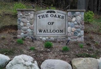 5747 Ash Ct, Petoskey, MI 49770