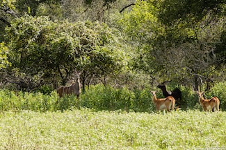 8841 Fm 775, La Vernia, TX 78121