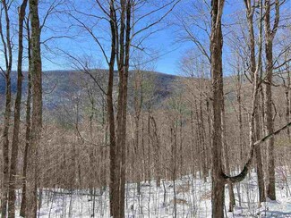 0 Erika Dr Unit 20210290, Shandaken, NY 12480