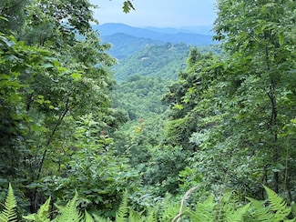 Lot 7 Butternut Ridge, Bryson City, NC 28713
