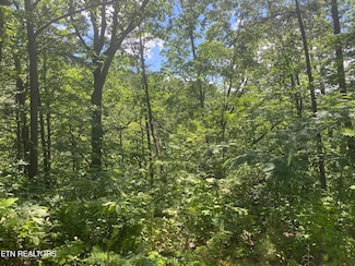 54 Magnolia Place, Sevierville, TN 37876