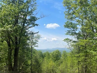TBA Tumbling Shoals Rd, Millers Creek, NC 28651