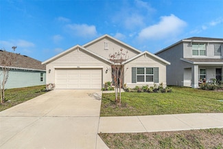 3900 Autumn Amber Dr, Spring Hill, FL 34609