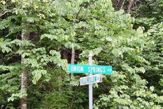0 TBD Shell Hollow Ln, Dayton, VA 22821