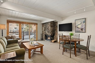 131 E Durant Ave Unit 104, Aspen, CO 81611