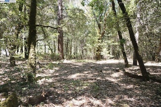 30 Suzy Q Rd, Burnt Ranch, CA 95527